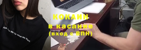бошки Алексин