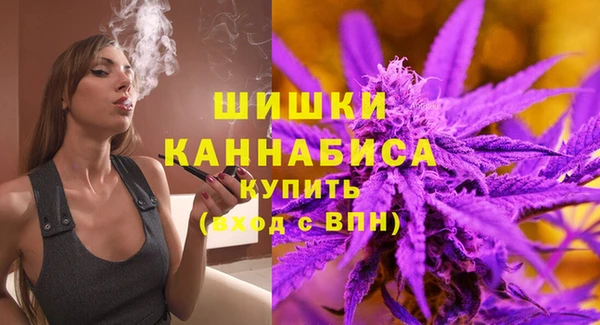 ешки Алзамай