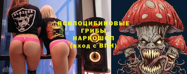 ешки Алзамай